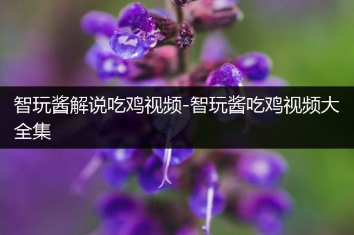 智玩酱解说吃鸡视频-智玩酱吃鸡视频大全集
