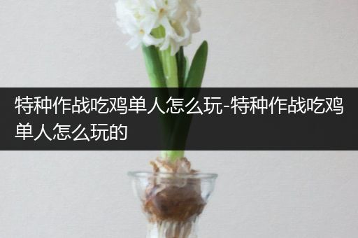特种作战吃鸡单人怎么玩-特种作战吃鸡单人怎么玩的