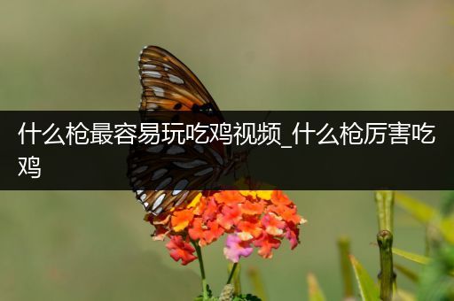 什么枪最容易玩吃鸡视频_什么枪厉害吃鸡