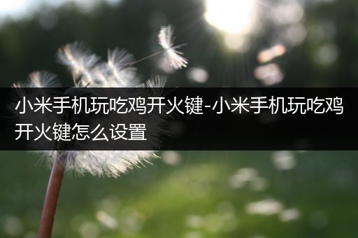 小米手机玩吃鸡开火键-小米手机玩吃鸡开火键怎么设置