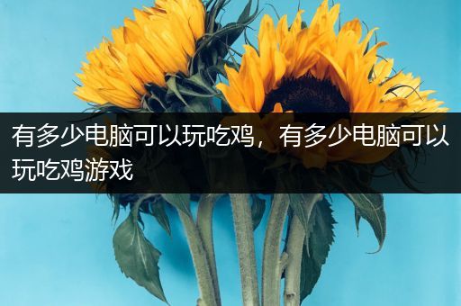有多少电脑可以玩吃鸡，有多少电脑可以玩吃鸡游戏