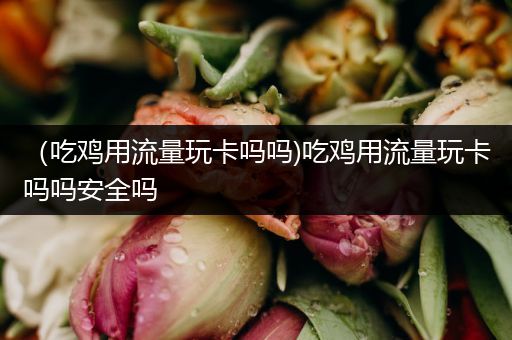 （吃鸡用流量玩卡吗吗)吃鸡用流量玩卡吗吗安全吗