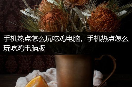 手机热点怎么玩吃鸡电脑，手机热点怎么玩吃鸡电脑版