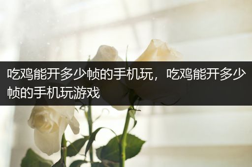 吃鸡能开多少帧的手机玩，吃鸡能开多少帧的手机玩游戏