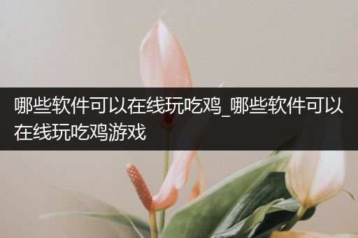 哪些软件可以在线玩吃鸡_哪些软件可以在线玩吃鸡游戏