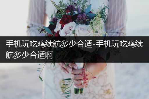 手机玩吃鸡续航多少合适-手机玩吃鸡续航多少合适啊