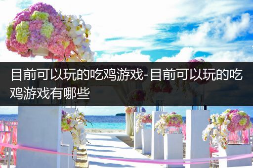 目前可以玩的吃鸡游戏-目前可以玩的吃鸡游戏有哪些
