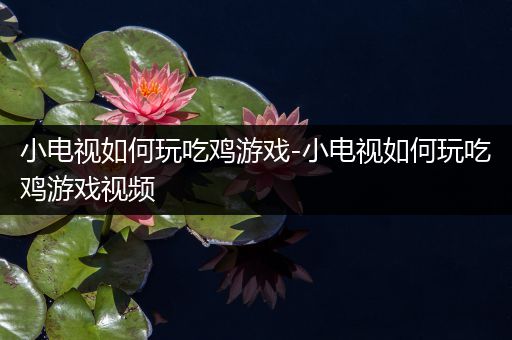 小电视如何玩吃鸡游戏-小电视如何玩吃鸡游戏视频