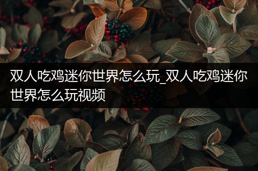 双人吃鸡迷你世界怎么玩_双人吃鸡迷你世界怎么玩视频