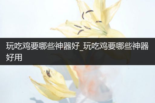 玩吃鸡要哪些神器好_玩吃鸡要哪些神器好用