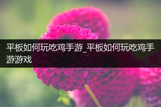 平板如何玩吃鸡手游_平板如何玩吃鸡手游游戏