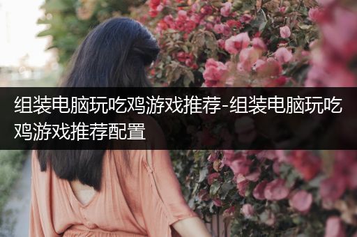 组装电脑玩吃鸡游戏推荐-组装电脑玩吃鸡游戏推荐配置