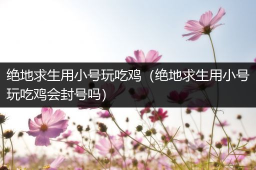 绝地求生用小号玩吃鸡（绝地求生用小号玩吃鸡会封号吗）