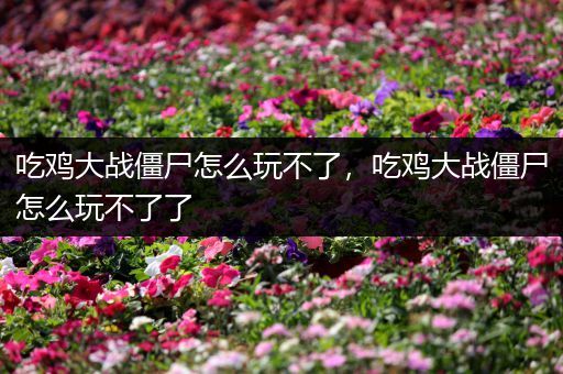 吃鸡大战僵尸怎么玩不了，吃鸡大战僵尸怎么玩不了了