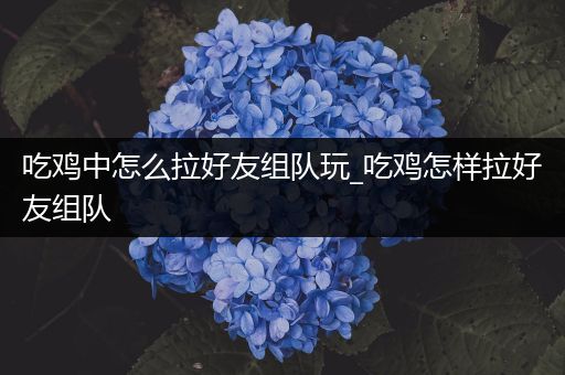 吃鸡中怎么拉好友组队玩_吃鸡怎样拉好友组队
