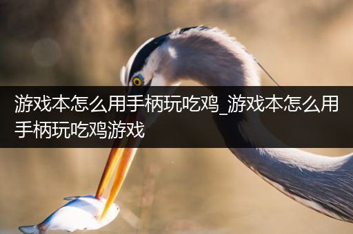 游戏本怎么用手柄玩吃鸡_游戏本怎么用手柄玩吃鸡游戏