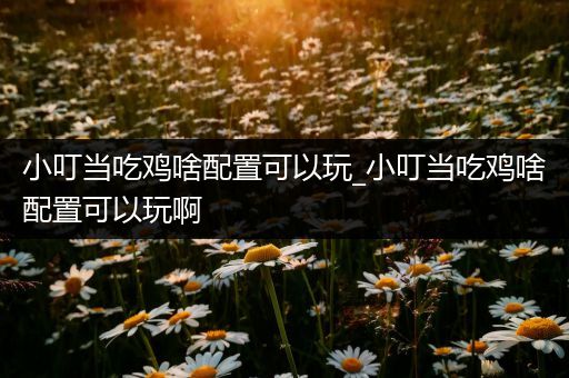 小叮当吃鸡啥配置可以玩_小叮当吃鸡啥配置可以玩啊