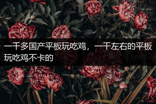 一千多国产平板玩吃鸡，一千左右的平板玩吃鸡不卡的