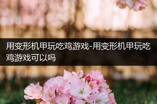 用变形机甲玩吃鸡游戏-用变形机甲玩吃鸡游戏可以吗