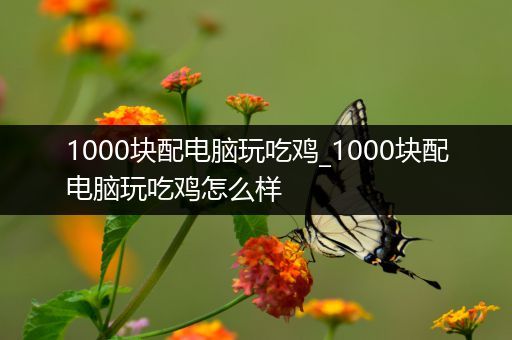 1000块配电脑玩吃鸡_1000块配电脑玩吃鸡怎么样