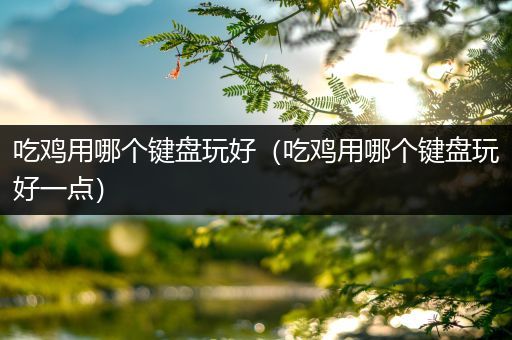 吃鸡用哪个键盘玩好（吃鸡用哪个键盘玩好一点）