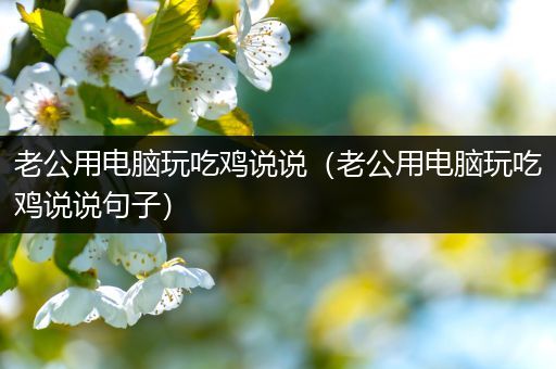 老公用电脑玩吃鸡说说（老公用电脑玩吃鸡说说句子）