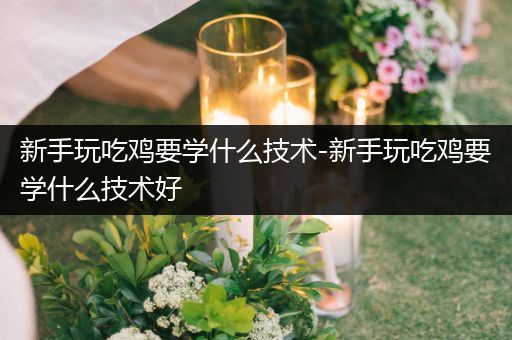 新手玩吃鸡要学什么技术-新手玩吃鸡要学什么技术好