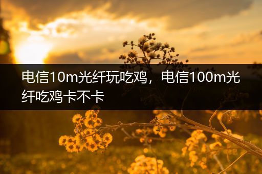 电信10m光纤玩吃鸡，电信100m光纤吃鸡卡不卡