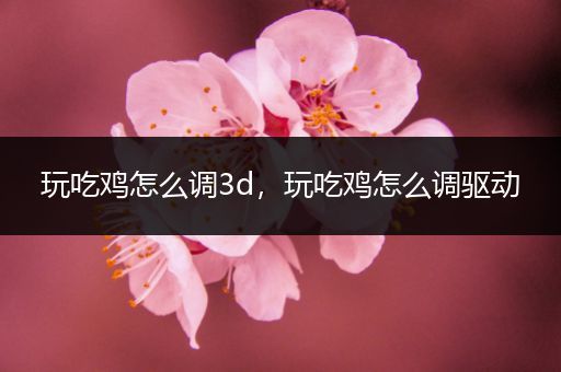 玩吃鸡怎么调3d，玩吃鸡怎么调驱动