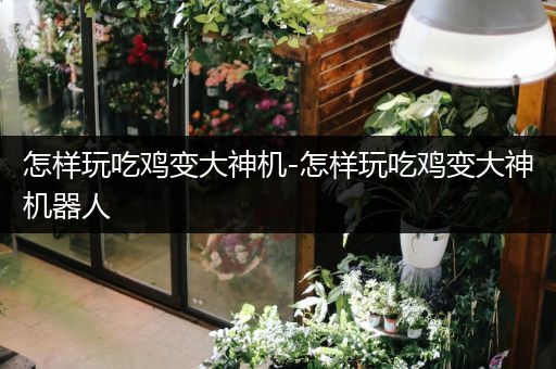 怎样玩吃鸡变大神机-怎样玩吃鸡变大神机器人