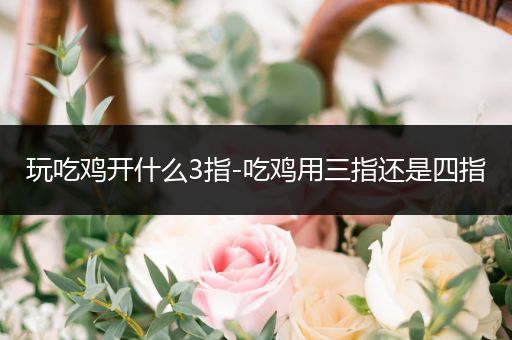 玩吃鸡开什么3指-吃鸡用三指还是四指