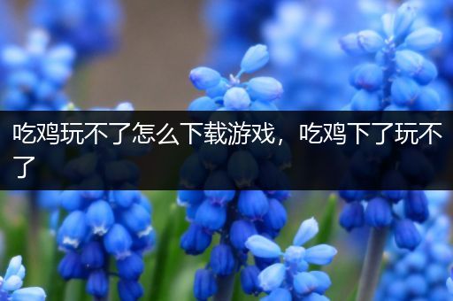 吃鸡玩不了怎么下载游戏，吃鸡下了玩不了