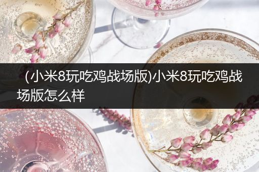 （小米8玩吃鸡战场版)小米8玩吃鸡战场版怎么样