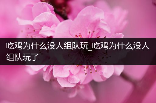 吃鸡为什么没人组队玩_吃鸡为什么没人组队玩了