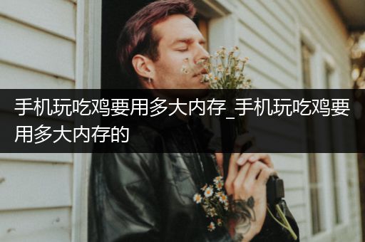 手机玩吃鸡要用多大内存_手机玩吃鸡要用多大内存的