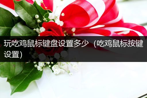 玩吃鸡鼠标键盘设置多少（吃鸡鼠标按键设置）
