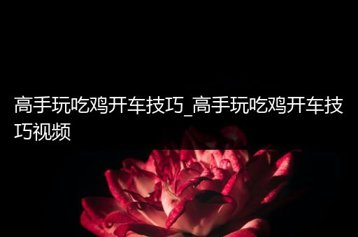 高手玩吃鸡开车技巧_高手玩吃鸡开车技巧视频
