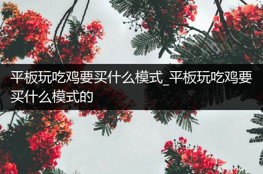 平板玩吃鸡要买什么模式_平板玩吃鸡要买什么模式的
