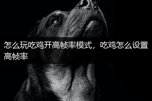 怎么玩吃鸡开高帧率模式，吃鸡怎么设置高帧率