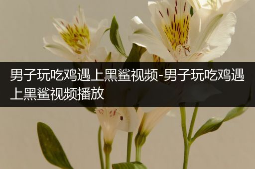 男子玩吃鸡遇上黑鲨视频-男子玩吃鸡遇上黑鲨视频播放