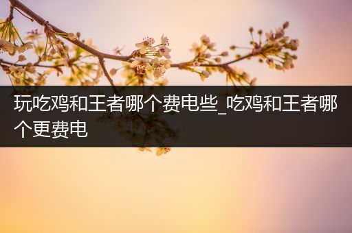 玩吃鸡和王者哪个费电些_吃鸡和王者哪个更费电