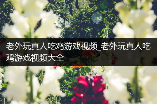 老外玩真人吃鸡游戏视频_老外玩真人吃鸡游戏视频大全