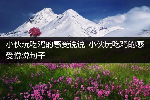 小伙玩吃鸡的感受说说_小伙玩吃鸡的感受说说句子