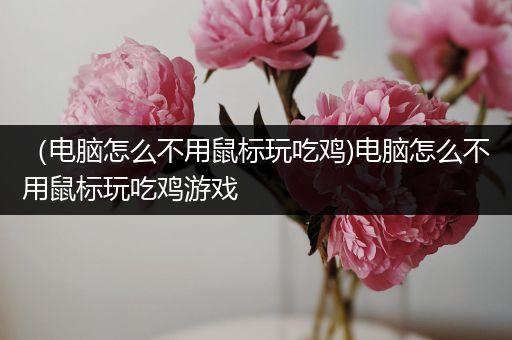 （电脑怎么不用鼠标玩吃鸡)电脑怎么不用鼠标玩吃鸡游戏