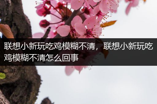联想小新玩吃鸡模糊不清，联想小新玩吃鸡模糊不清怎么回事