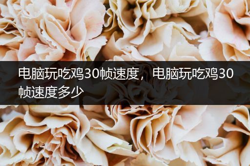 电脑玩吃鸡30帧速度，电脑玩吃鸡30帧速度多少