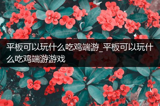 平板可以玩什么吃鸡端游_平板可以玩什么吃鸡端游游戏
