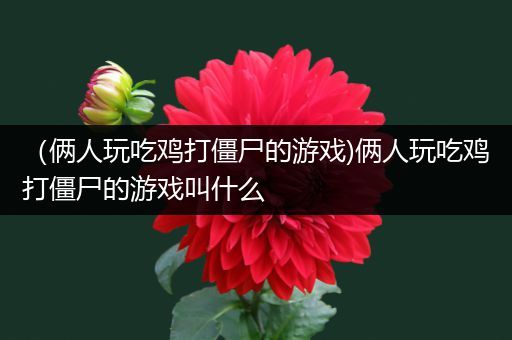 （俩人玩吃鸡打僵尸的游戏)俩人玩吃鸡打僵尸的游戏叫什么