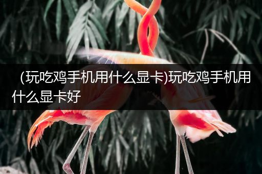 （玩吃鸡手机用什么显卡)玩吃鸡手机用什么显卡好
