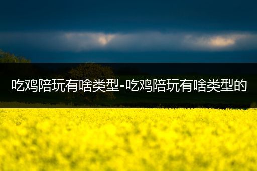 吃鸡陪玩有啥类型-吃鸡陪玩有啥类型的
